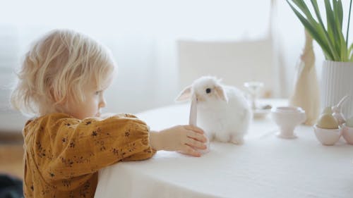 A Child Playing with Rabbit