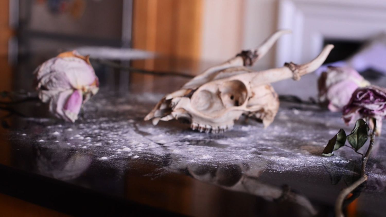 Animation Of Death Videos, Download The BEST Free 4k Stock Video ...