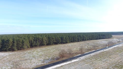 Drone Footage of a Forest and a Road