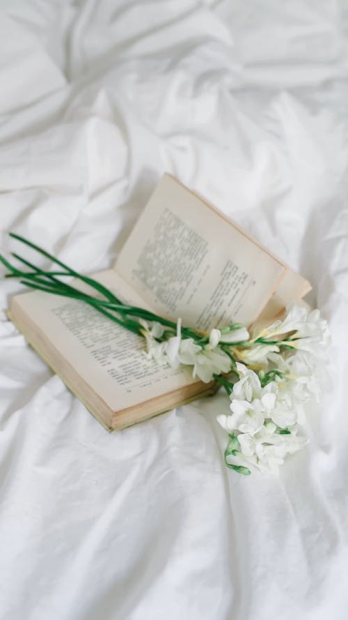 White Flowers Above a Book in the Bed