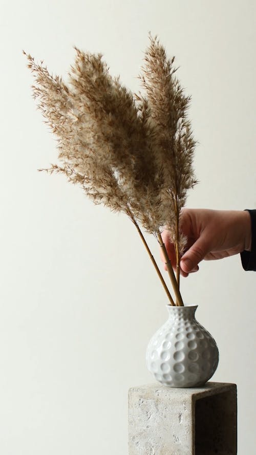A Person Putting Dried Flowers in the Vase