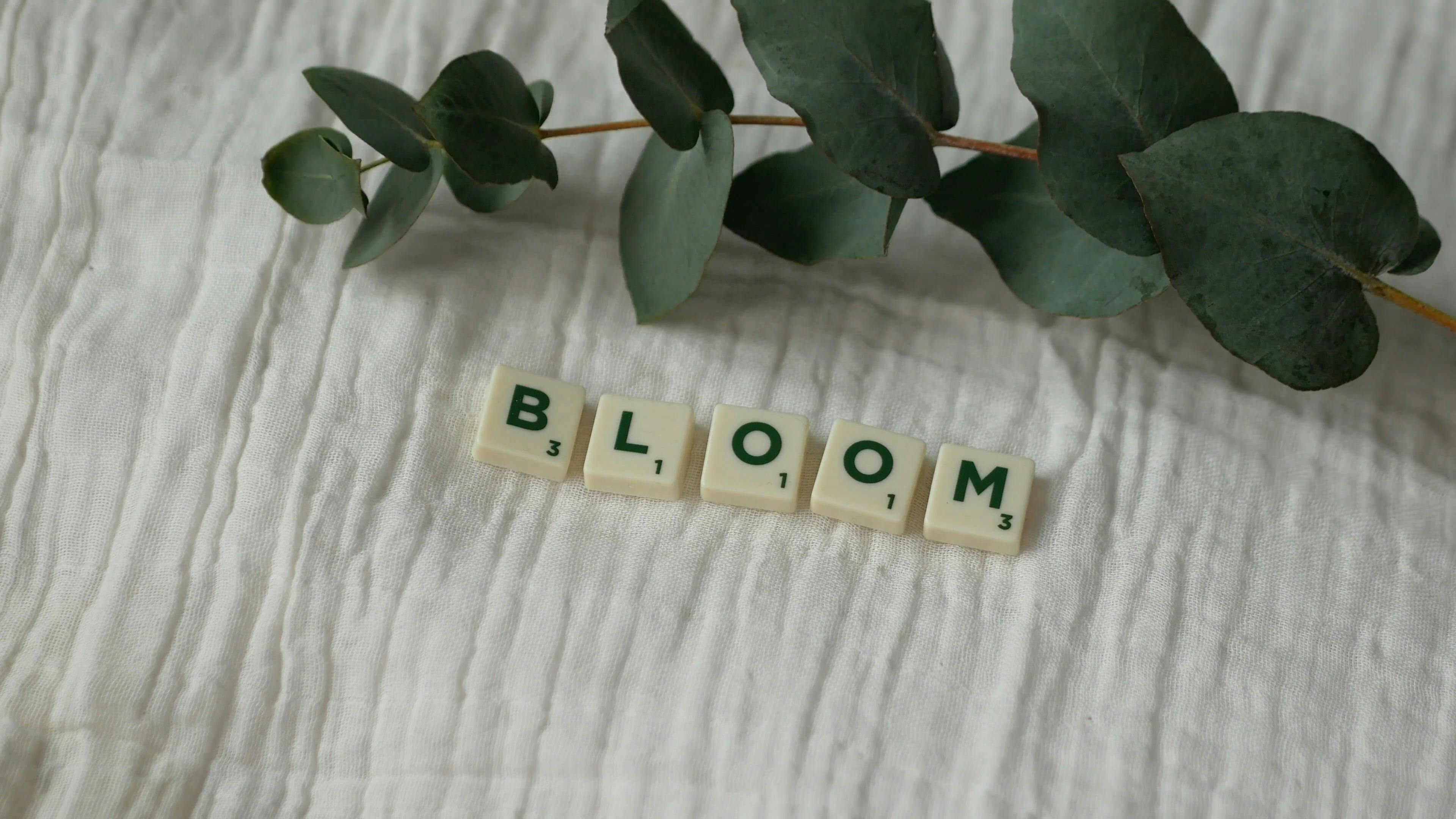 A Bloom Word Using Scrabble Tiles · Free Stock Video