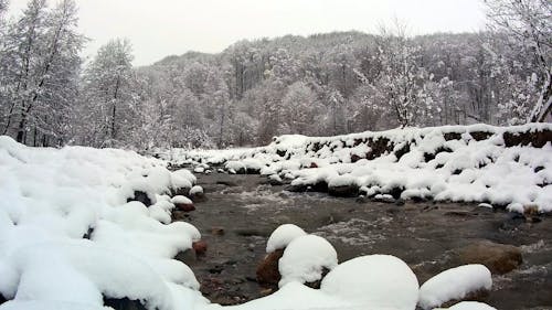 Video of a Water Flowing in River