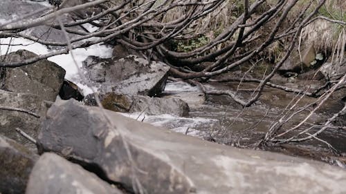Close-Up View of a Stream