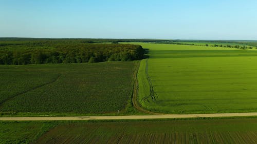 Drone Footage of Agricultural Lands