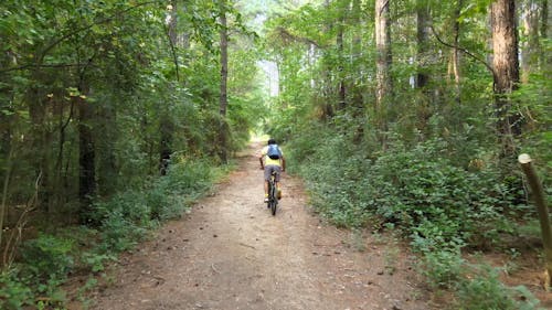 Man Riding a Bicycle