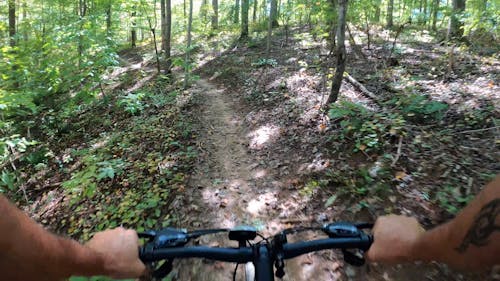 Person Riding a Bike in Forest Path