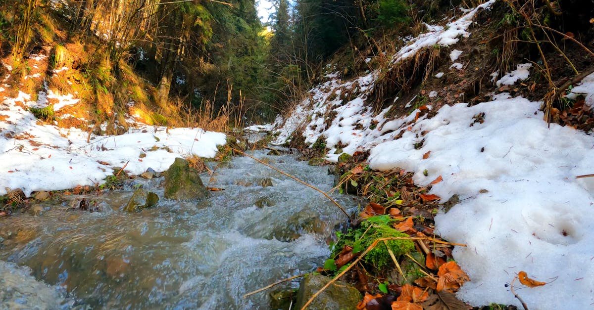 A Video Footage of a Running Stream Free Stock Video Footage, Royalty ...