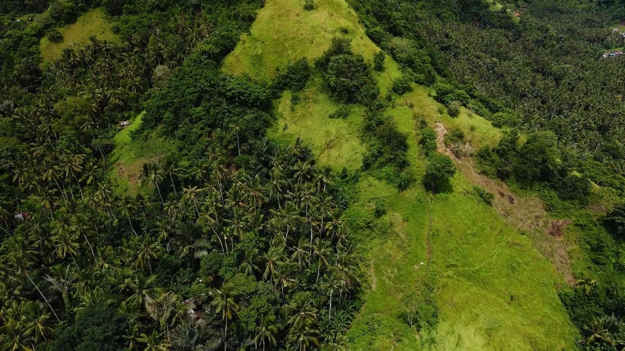 Drone Footage of a Mountain Forest Free Stock Video Footage, Royalty ...