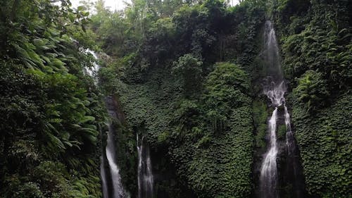 Scenic View of a Waterfalls in a Jungle