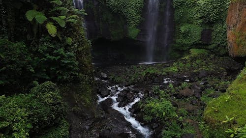 Beautiful Scenery of Waterfalls in a Jungle