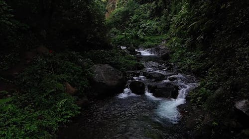 Drone Footage of a Clean River