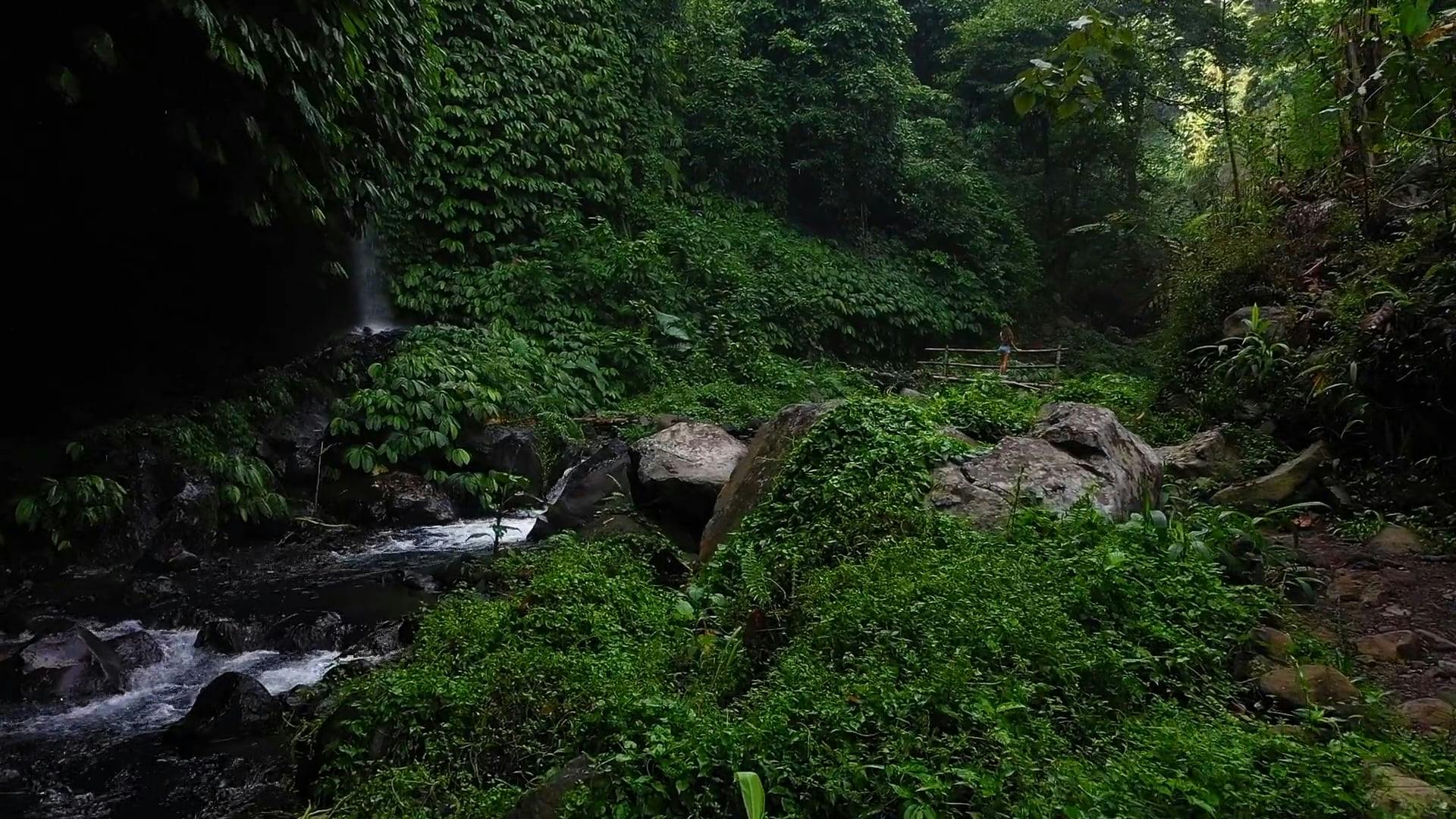 Video stok gratis tentang air terjun, alam, aliran