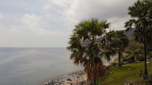 Aerial View of Tropical Beach