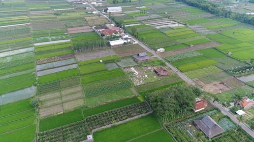 An Aerial Footage of an Agricultural Land