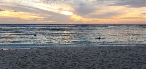 People Swimming in the Beach