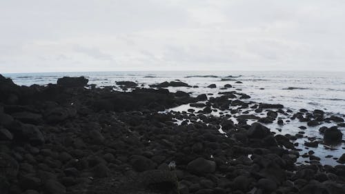 Scenery of a Rocky Shore