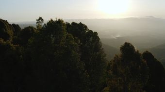当晨光越过山河免费下载免费下载视频素材