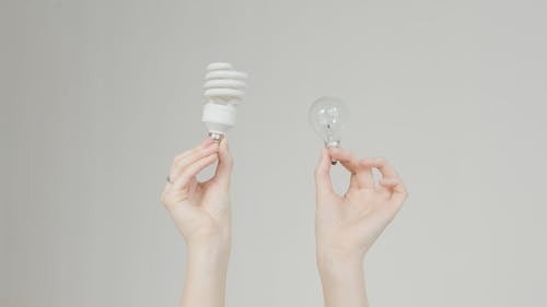 Person Holding Light Bulbs