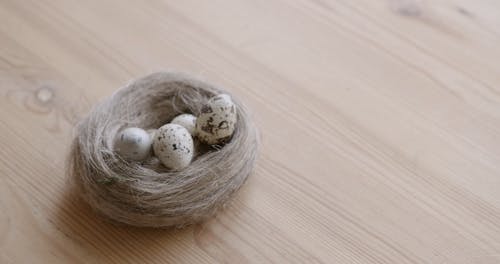 Quail Eggs on a Nest