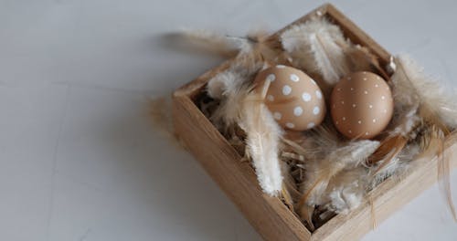 Painted Brown Eggs