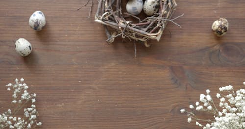 Close-Up View of Person Placing a Brown Egg on the Table