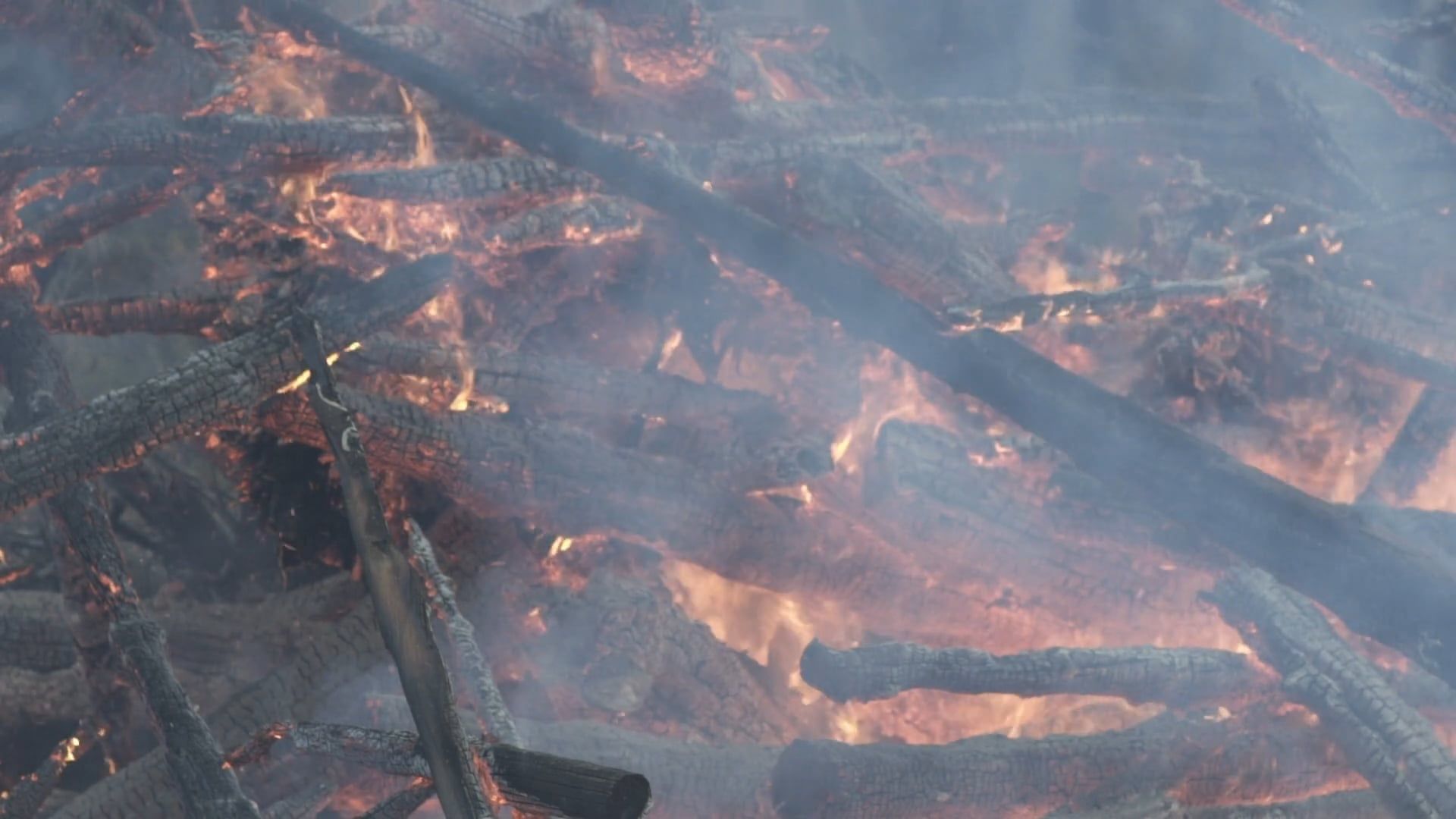 close up shot of burning logs 7003581 — free pexels stock footage
