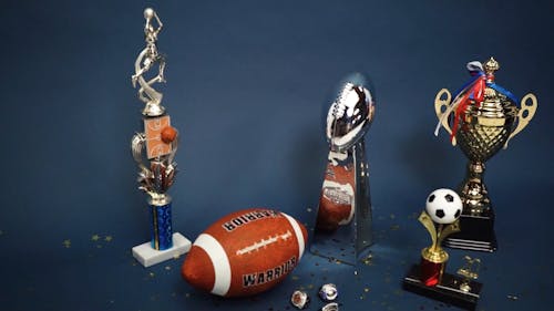 A Variety of Sports Trophies