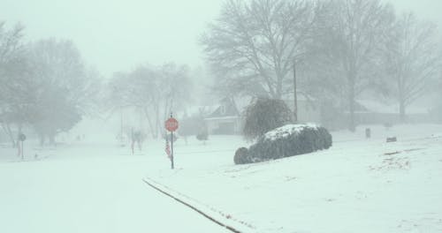 Video of a Snowstorm