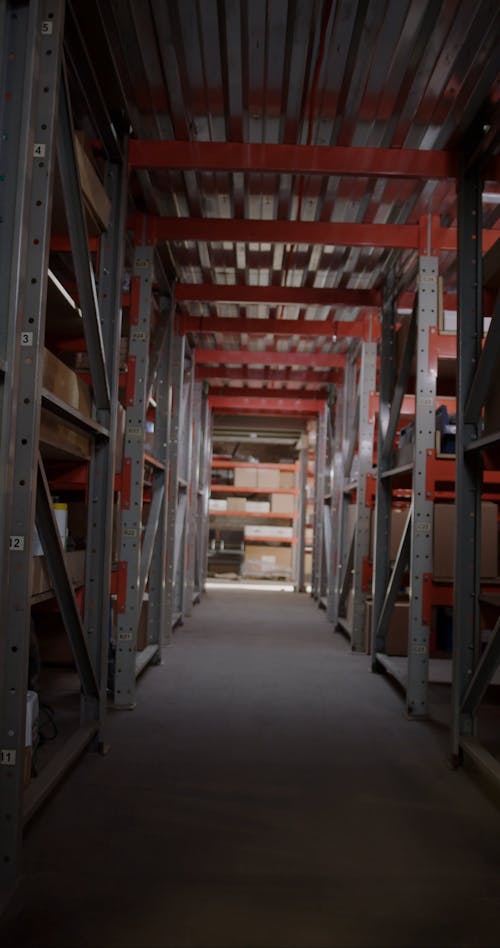 Woman Model while Standing in an Aisle in Between the Racks Free Stock ...