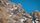 mountain goat