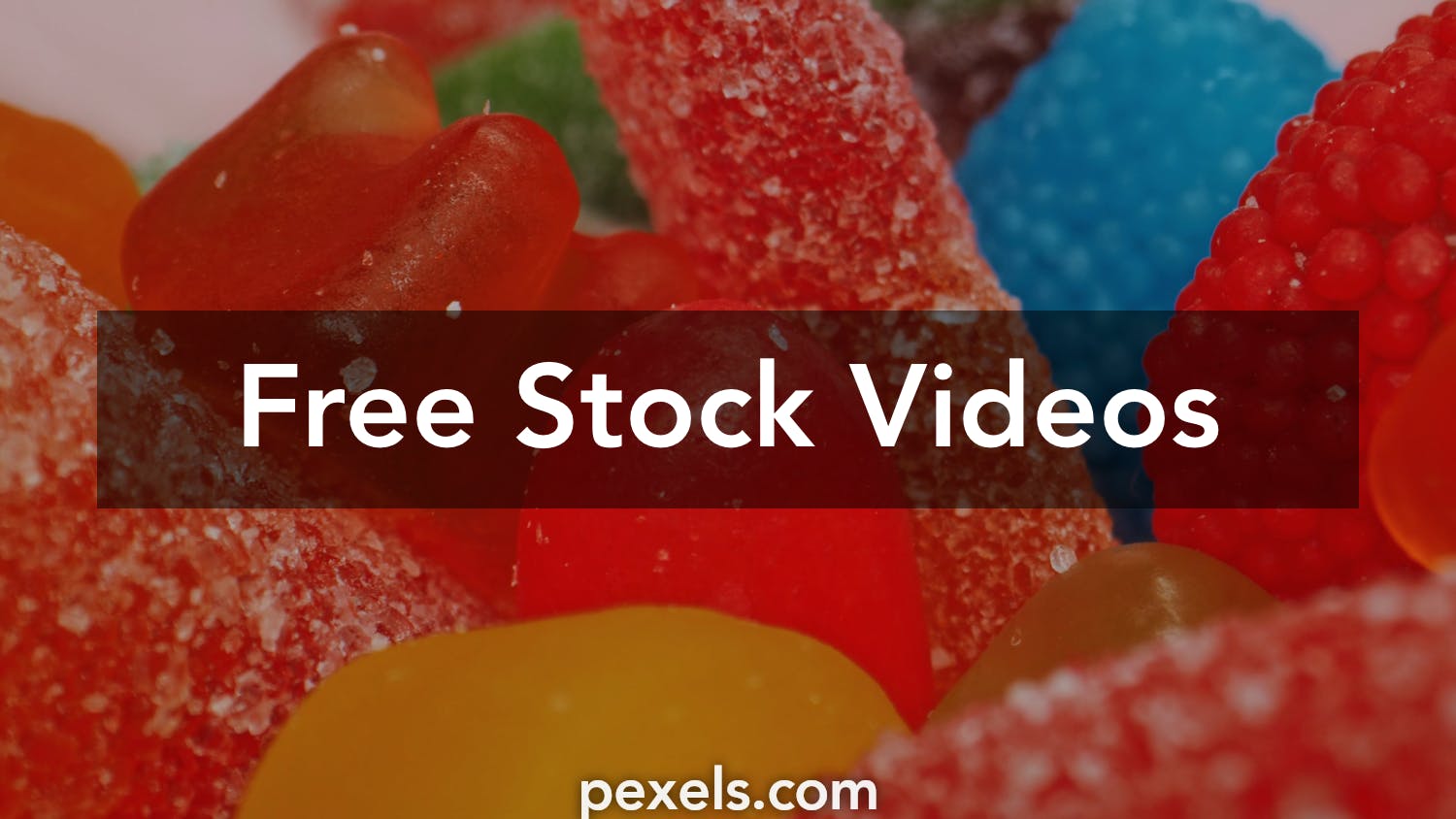Gummy Bears Videos Download The Best Free 4k Stock Video Footage And Gummy Bears Hd Video Clips 