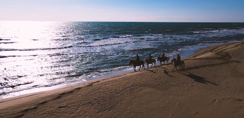 People Riding Horses at the Beach