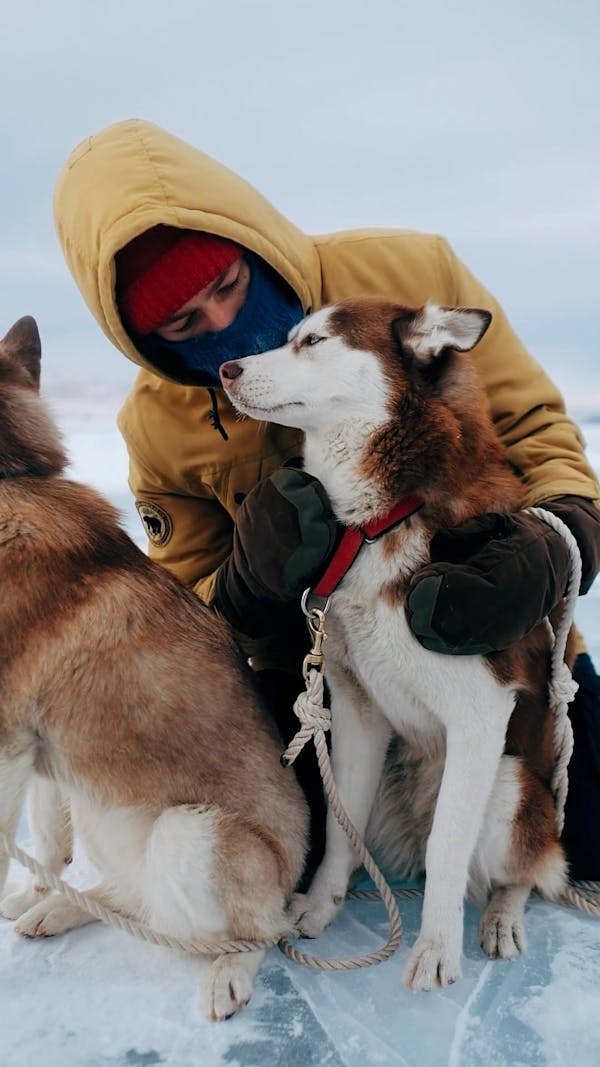 Siberian Men Videos, Download The BEST Free 4k Stock Video Footage ...