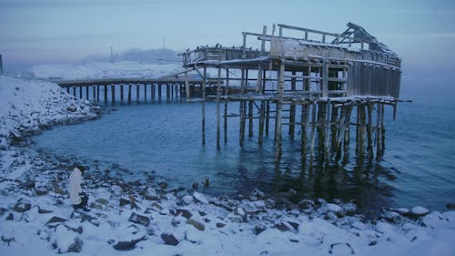 A Woman Walking on a Snow Covered Rocky Coast