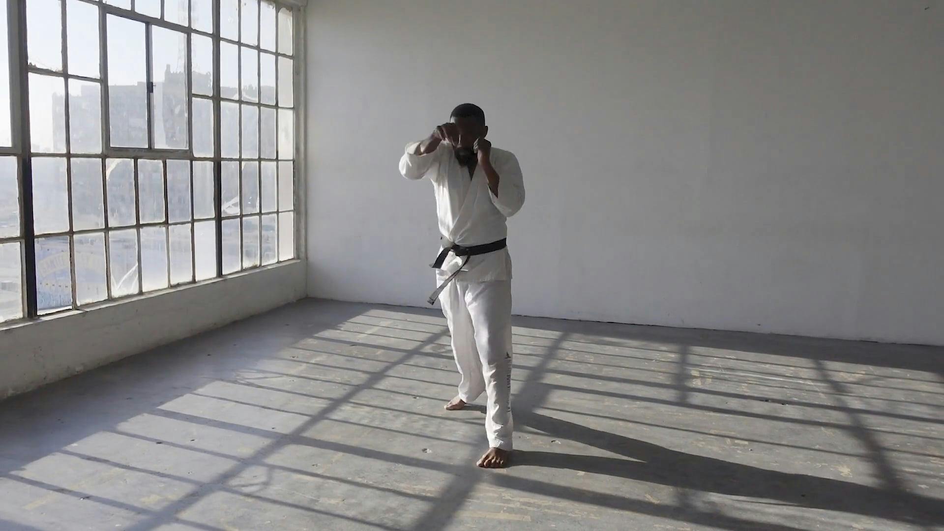 Man Practicing Martial Arts · Free Stock Video