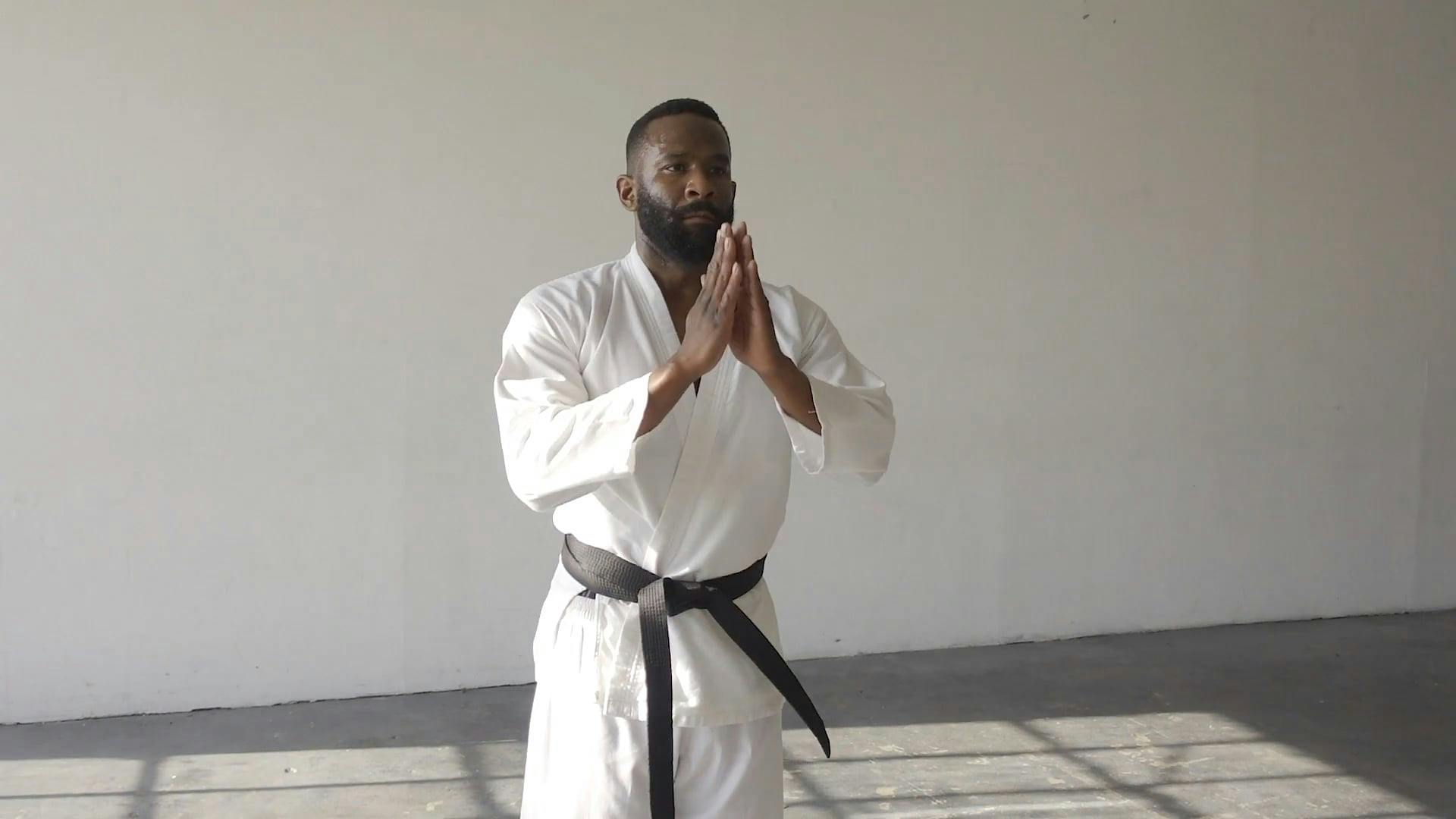 A Martial Artist Bowing Free Stock Video Footage, RoyaltyFree 4K & HD