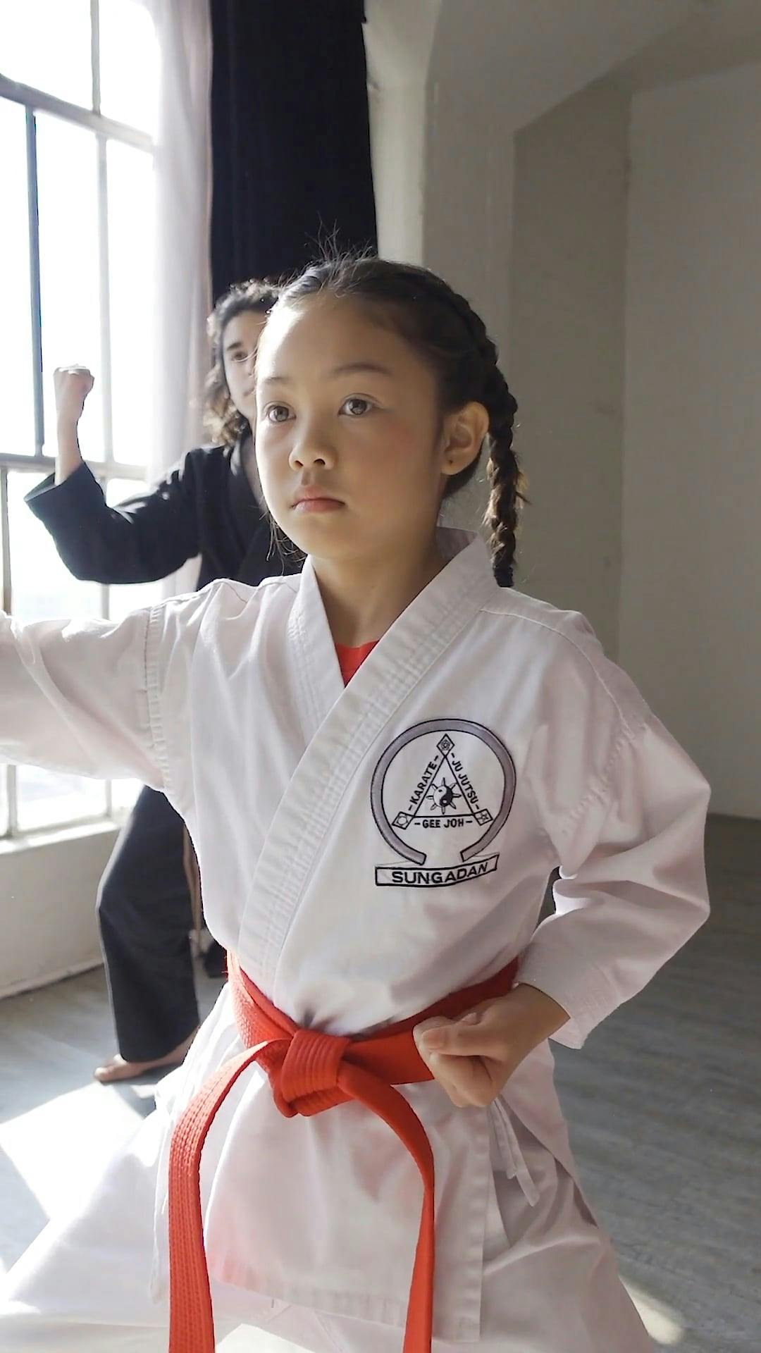 Changing Karate Belt Ceremony · Free Stock Video