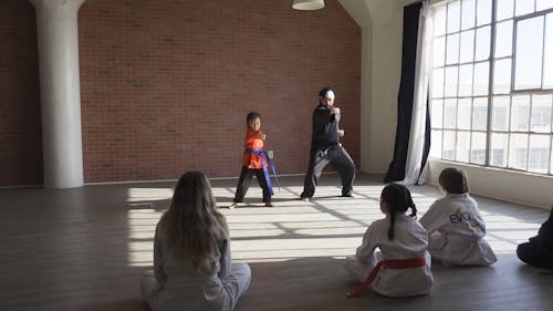 Man Demonstrating His Martial Art Skills Free Stock Video man-demonstrating-his-martial-art-skills-free-stock-video