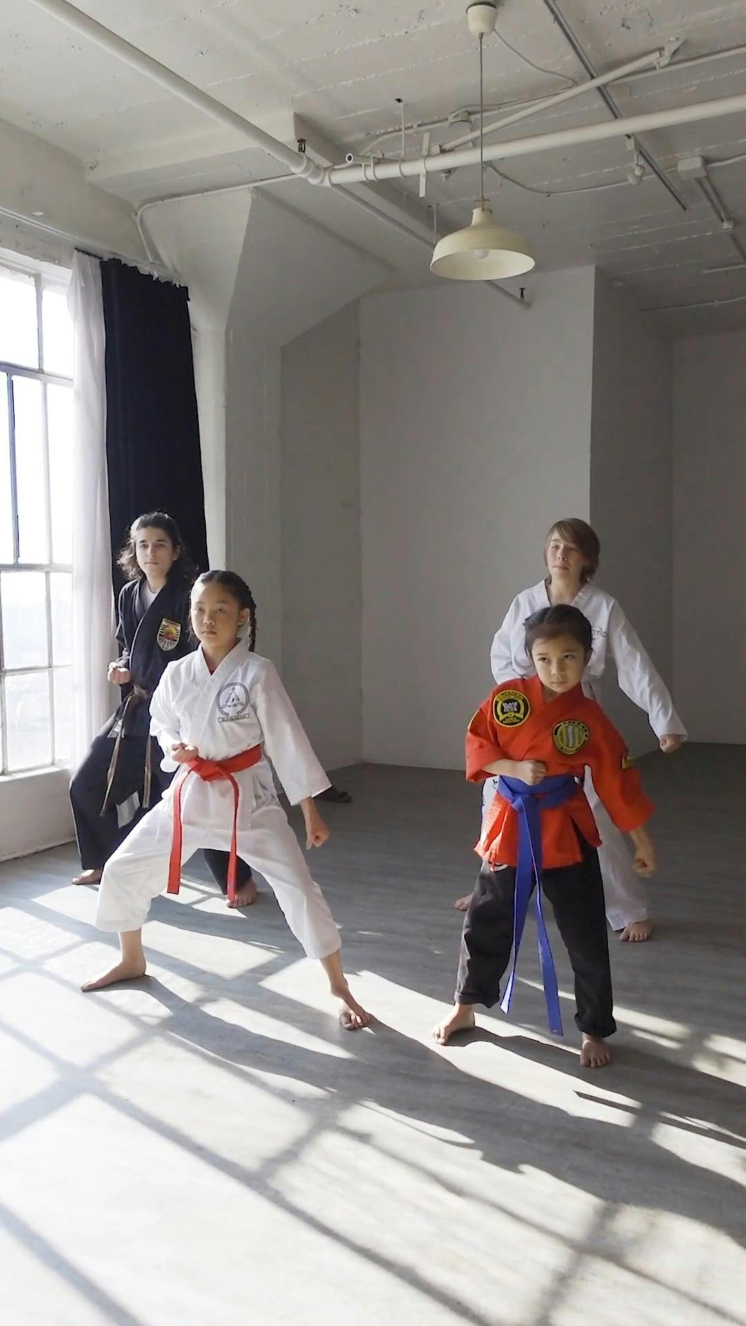 Changing Karate Belt Ceremony · Free Stock Video