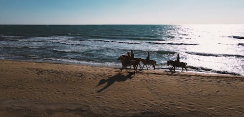 Horseback Riding At The Beach · Free Stock Video