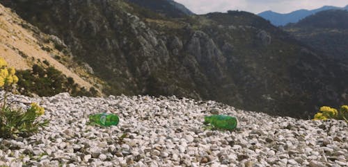 Person Picking Up the Bottles