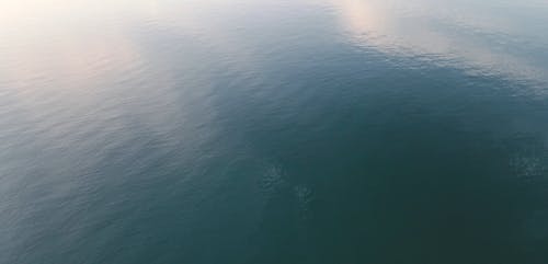 Drone Footage of a Lake