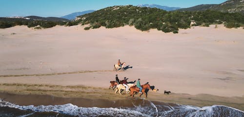 Aerial Footage of People Riding Horses