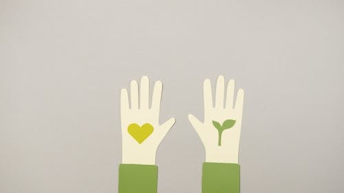 An Animation of Hands with a Plant and a Heart