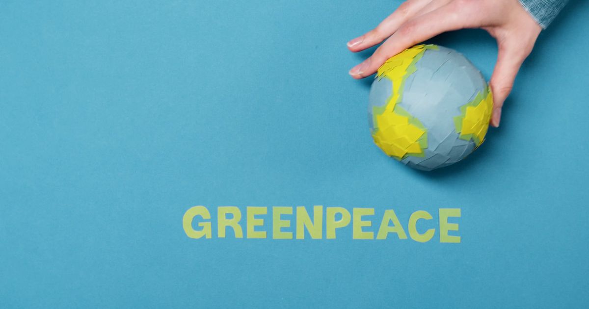 Pexels Video 7048791