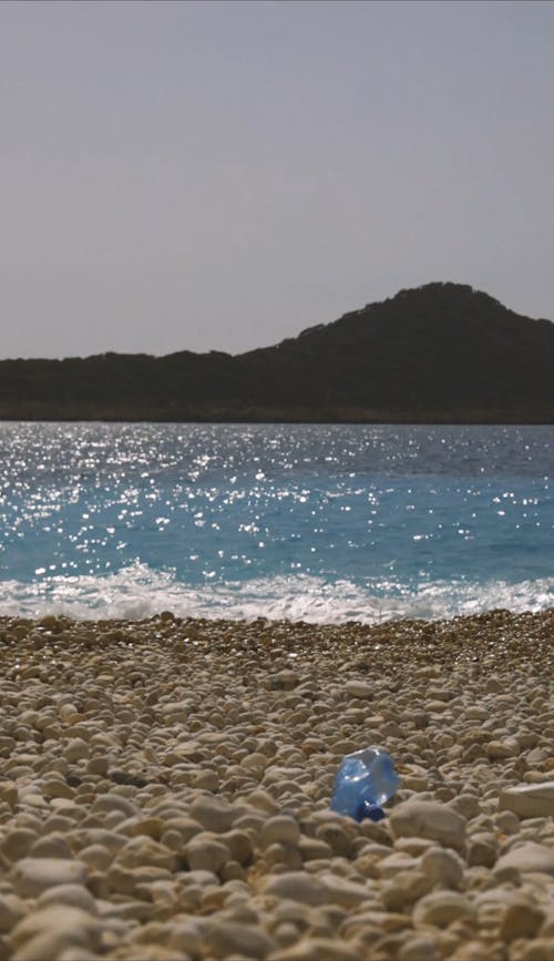 A Woman Collecting Garbage by the Beach