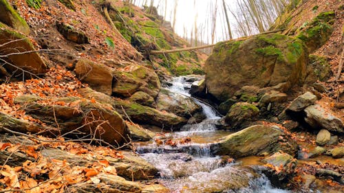 Water Flowing on Rocks