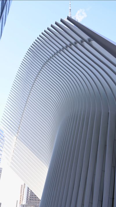 Laura Tancredi's architecture modern video