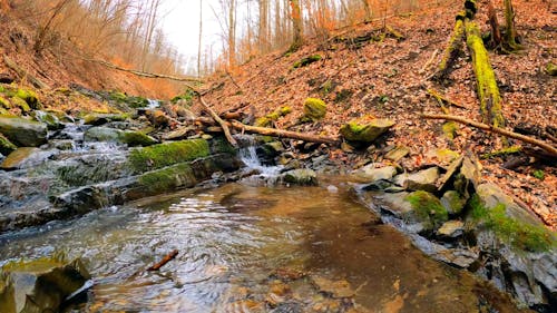 Timelapse Footage of a RIver